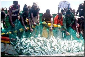 La Mauritanie privatise ces ressources halieutiques et pêcheurs artisans protestent