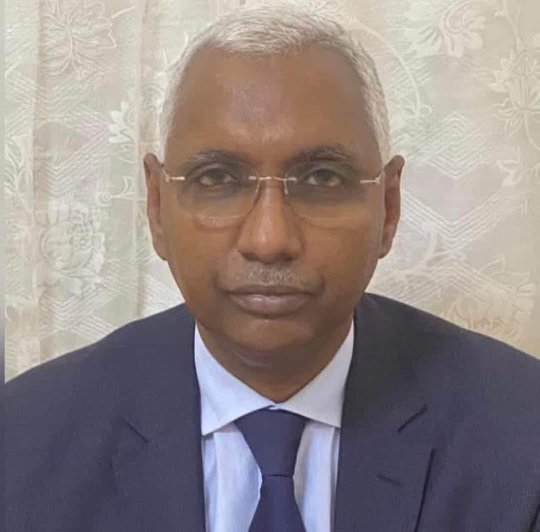 Nomination du président et des membres du Conseil des professionnels de l’art en Mauritanie