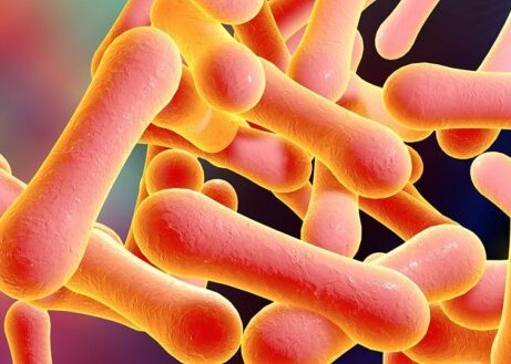 Diphtérie et fièvre de la vallée du Rift : la Mauritanie en alerte !