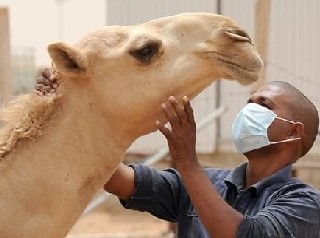 La fièvre de la vallée du Rift : les foyers de la maladie sont désormais 57 répartis entre 11 wilayas 