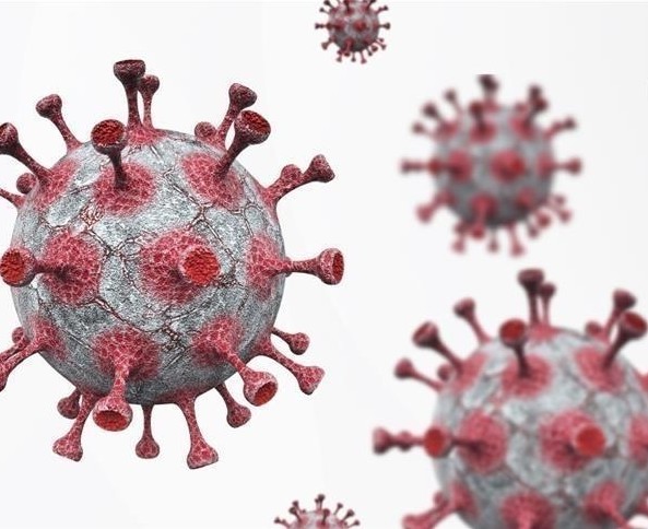 Sénégal : la fièvre hémorragique de Crimée-Congo fait un premier décès