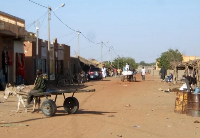 L'armée malienne patrouille dans des «villages mauritaniens» situés au Mali