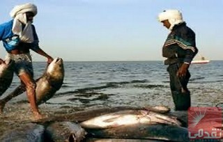 Le ministère des Pêches présente les résultats de la révision de la mise à jour du stock de crabes