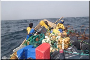 Les pêcheurs artisans, oubliés de l’économie mauritanienne