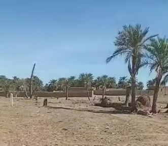 Atar : prévu pour être construit dans 8 mois, le collège de Toueivindé tarde à voir le jour (Vidéo)