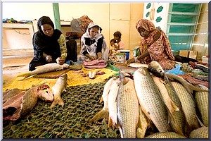 Les pays WAMER appelés à plus de 